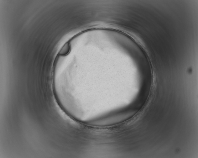 X0000116771247201001071209