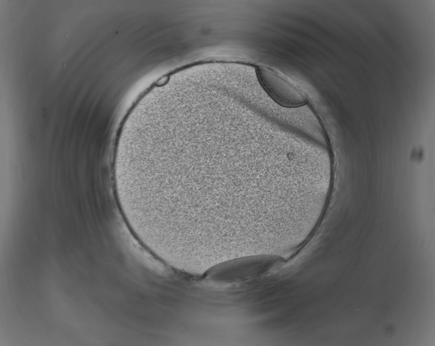 X0000116771248201001071209