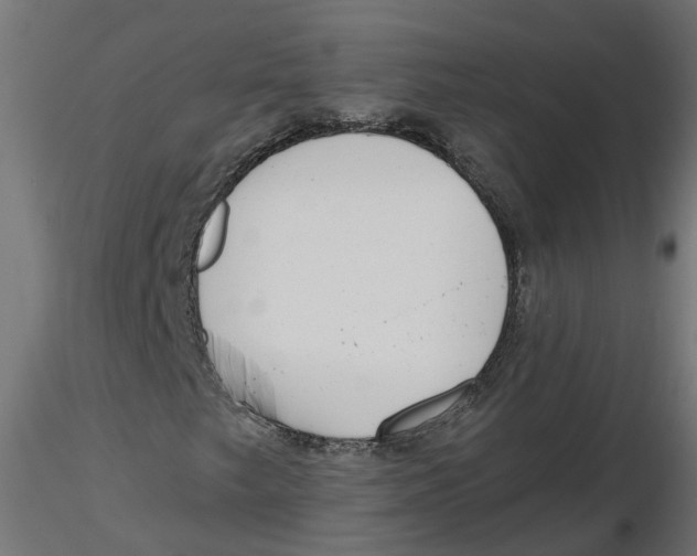 X0000116771249201001071209