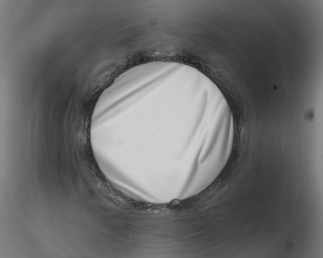 X0000116771250201001071209