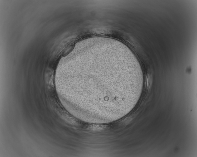 X0000116771251201001071209