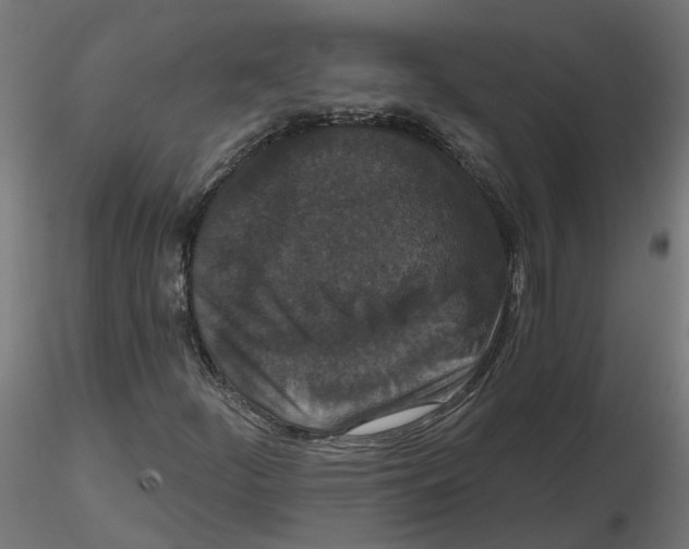 X0000116771252201001071209