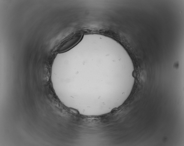 X0000116771253201001071209