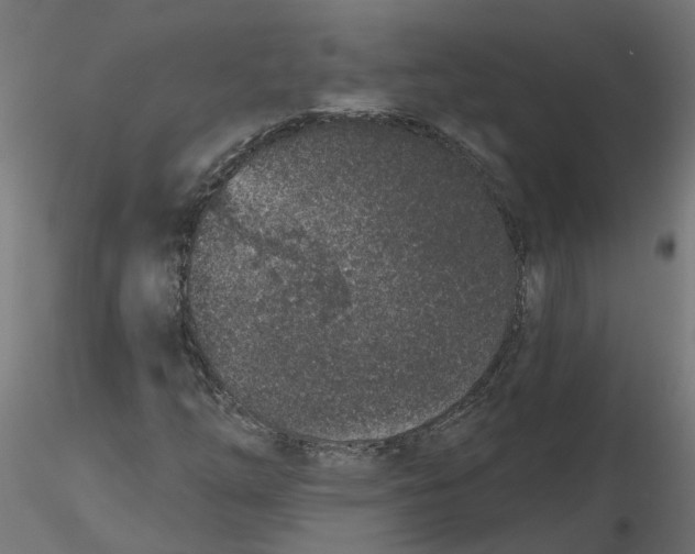 X0000116771254201001071209