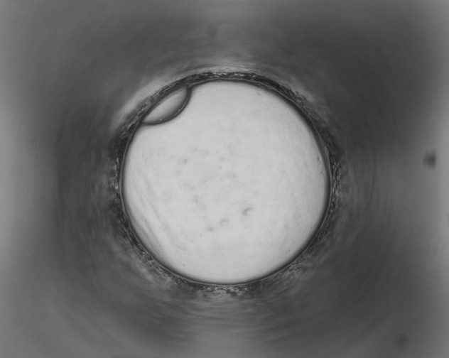 X0000116771255201001071209