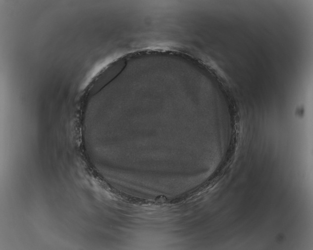 X0000116771256201001071209