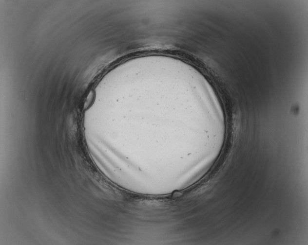 X0000116771257201001071209