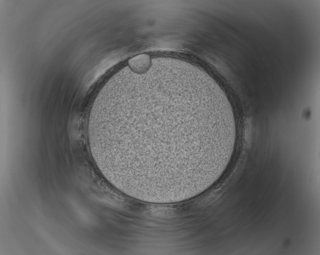 X0000116771258201001071209