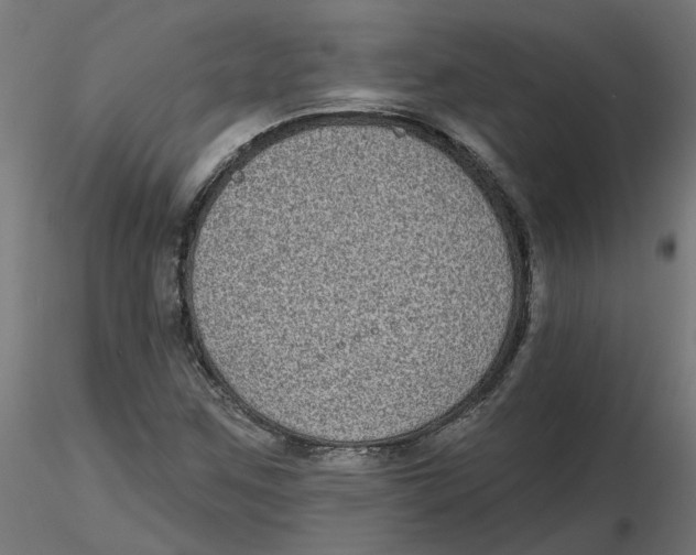 X0000116771259201001071209