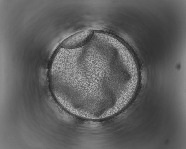 X0000116771260201001071209