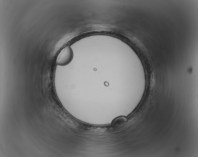 X0000116771261201001071209