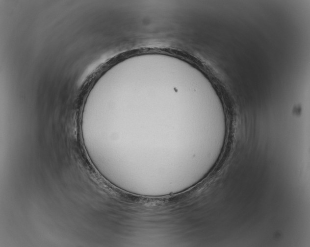 X0000116771262201001071209