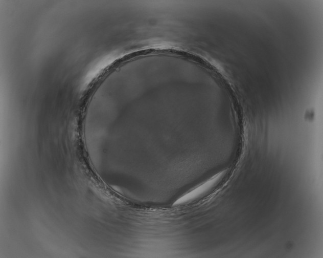 X0000116771263201001071209