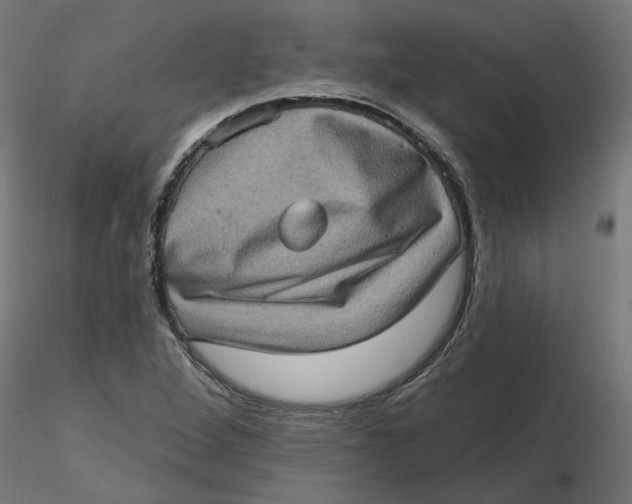 X0000116771264201001071209