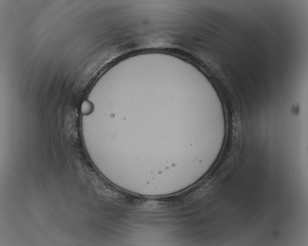 X0000116771265201001071209