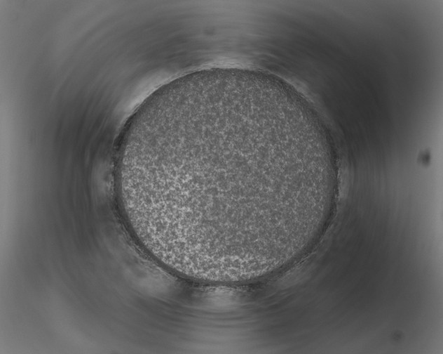 X0000116771266201001071209