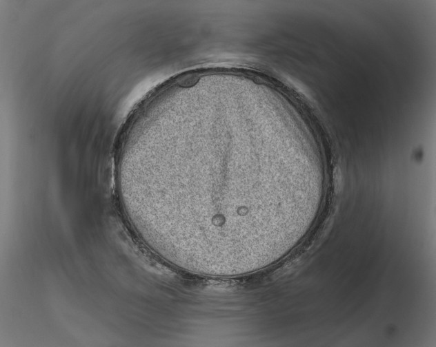 X0000116771267201001071209