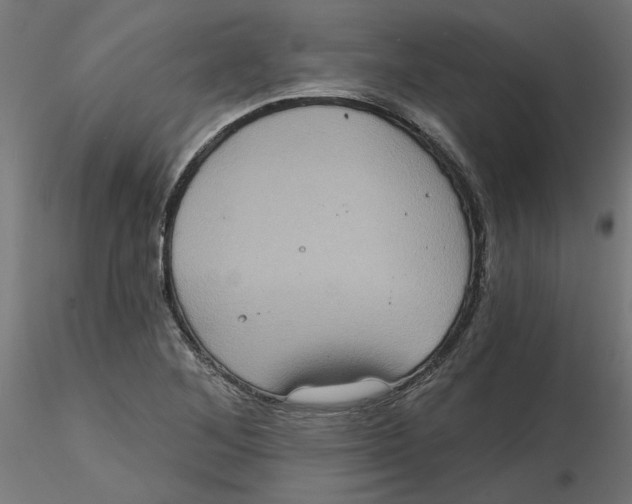 X0000116771268201001071209