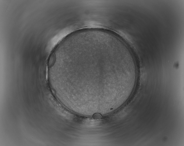 X0000116771269201001071208