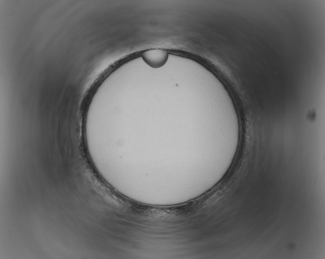 X0000116771270201001071208