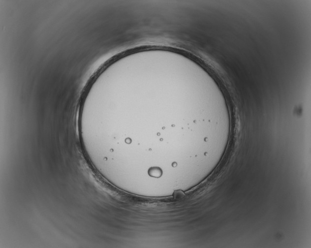 X0000116771272201001071208