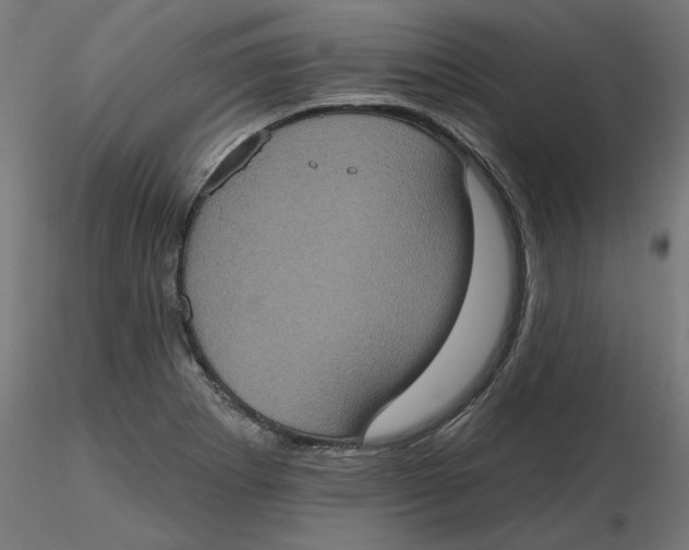 X0000116771273201001071208