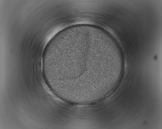 X0000116771274201001071208