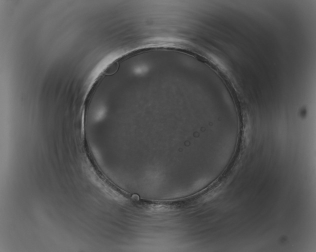 X0000116771275201001071208