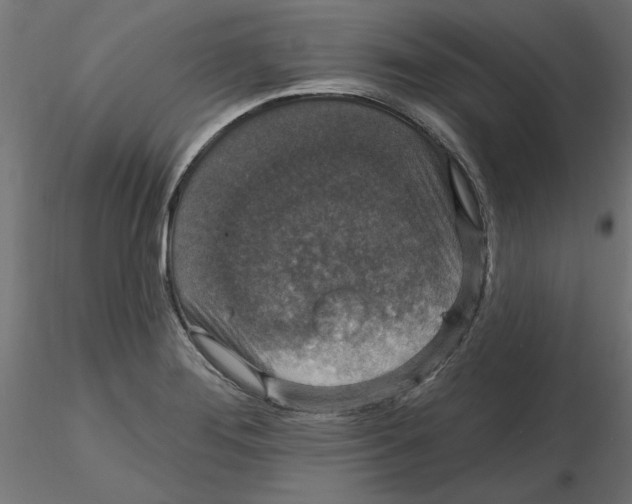 X0000116771276201001071208