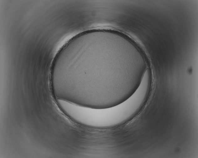 X0000116771277201001071208