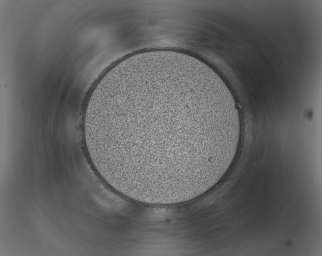 X0000116771278201001071208