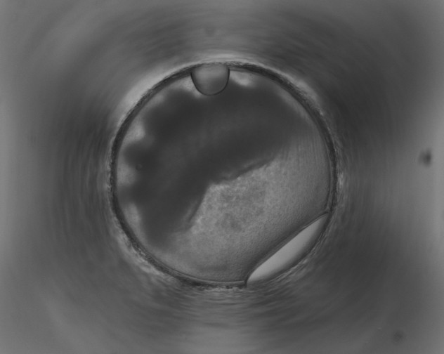 X0000116771279201001071208