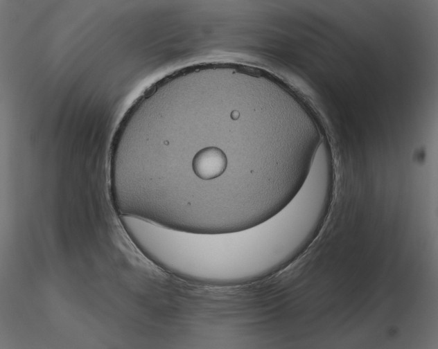 X0000116771280201001071208