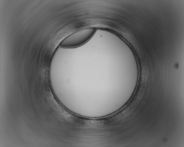 X0000116771281201001071208