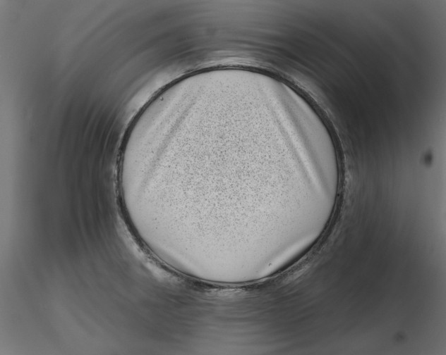 X0000116771282201001071208