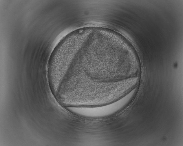 X0000116771283201001071208