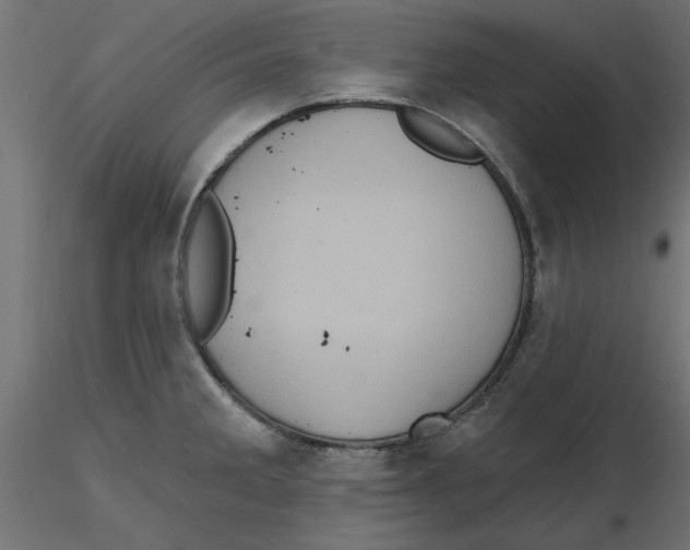 X0000116771285201001071208