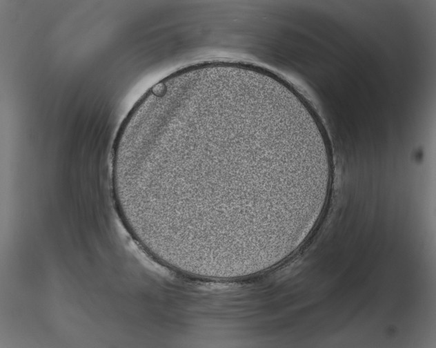 X0000116771287201001071208