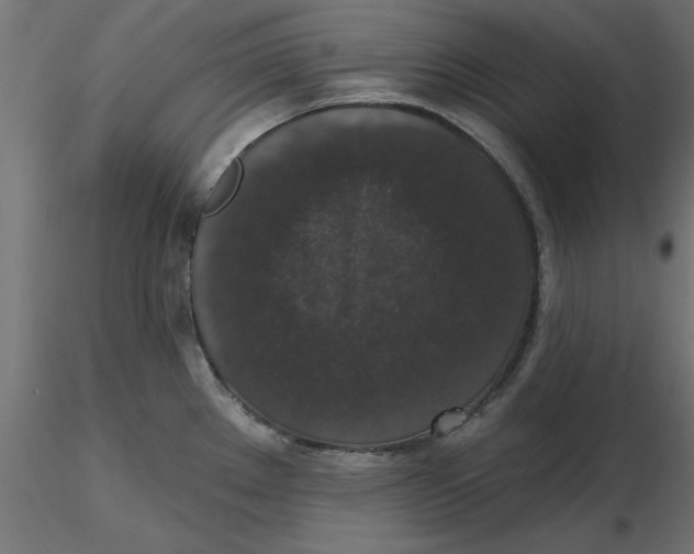 X0000116771289201001071208