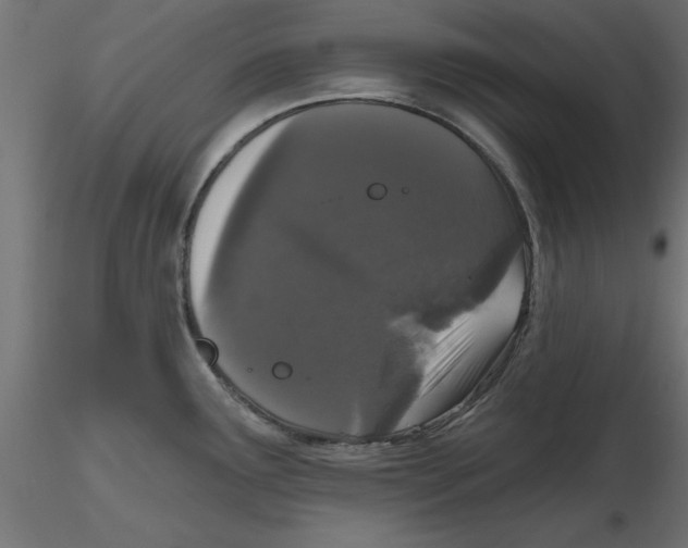 X0000116771291201001071208