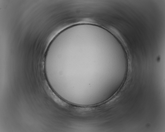 X0000116771292201001071208