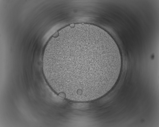 X0000116771294201001071208