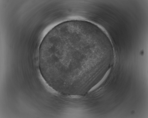 X0000116771295201001071208