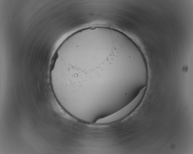 X0000116771296201001071208