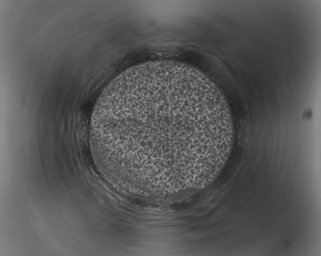 X0000116771298201001071207