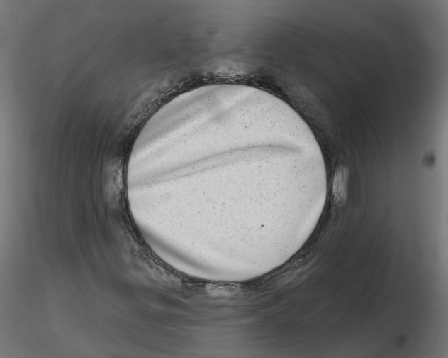 X0000116771299201001071208