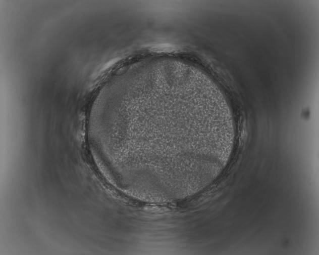 X0000116771301201001071208