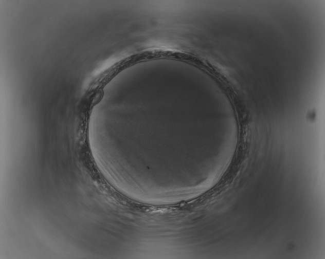 X0000116771303201001071208