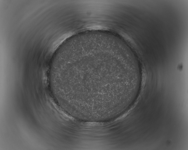 X0000116771305201001071208