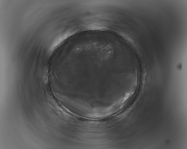 X0000116771306201001071208